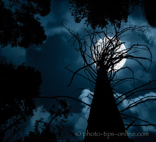 LandscapePro: silhouette, full moon