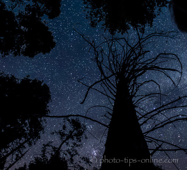 LandscapePro: silhouette, stars