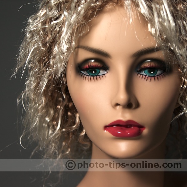 LumiQuest ProMax System flash diffuser: sample shot, mannequin head