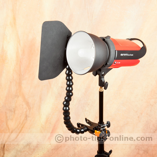 Nasty Flag: used with a studio strobe